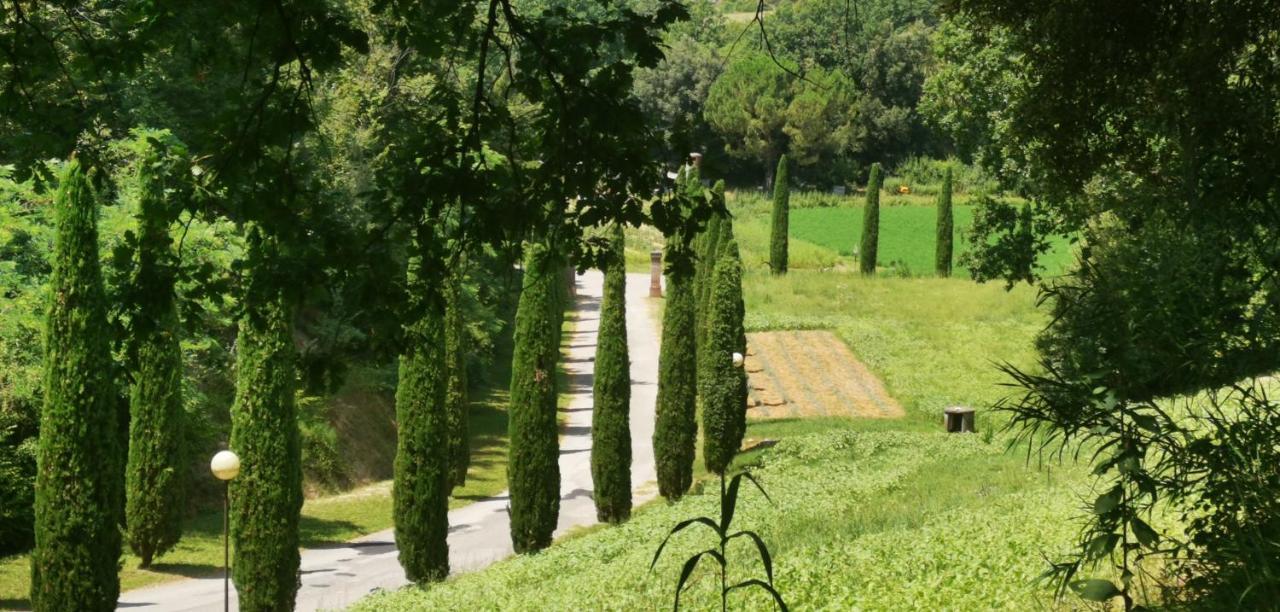 Agriturismo Cascina Cipressa San Romano  Zewnętrze zdjęcie