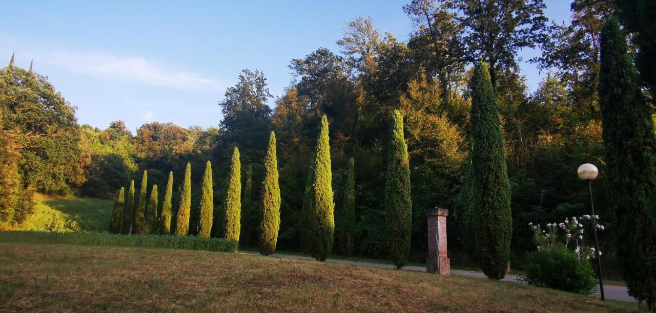 Agriturismo Cascina Cipressa San Romano  Zewnętrze zdjęcie