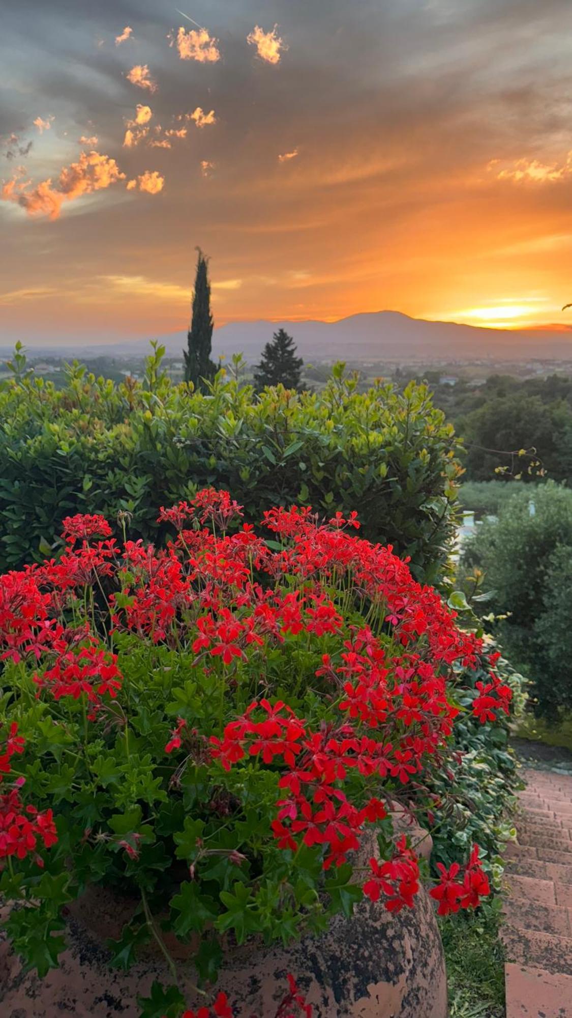Agriturismo Cascina Cipressa San Romano  Zewnętrze zdjęcie