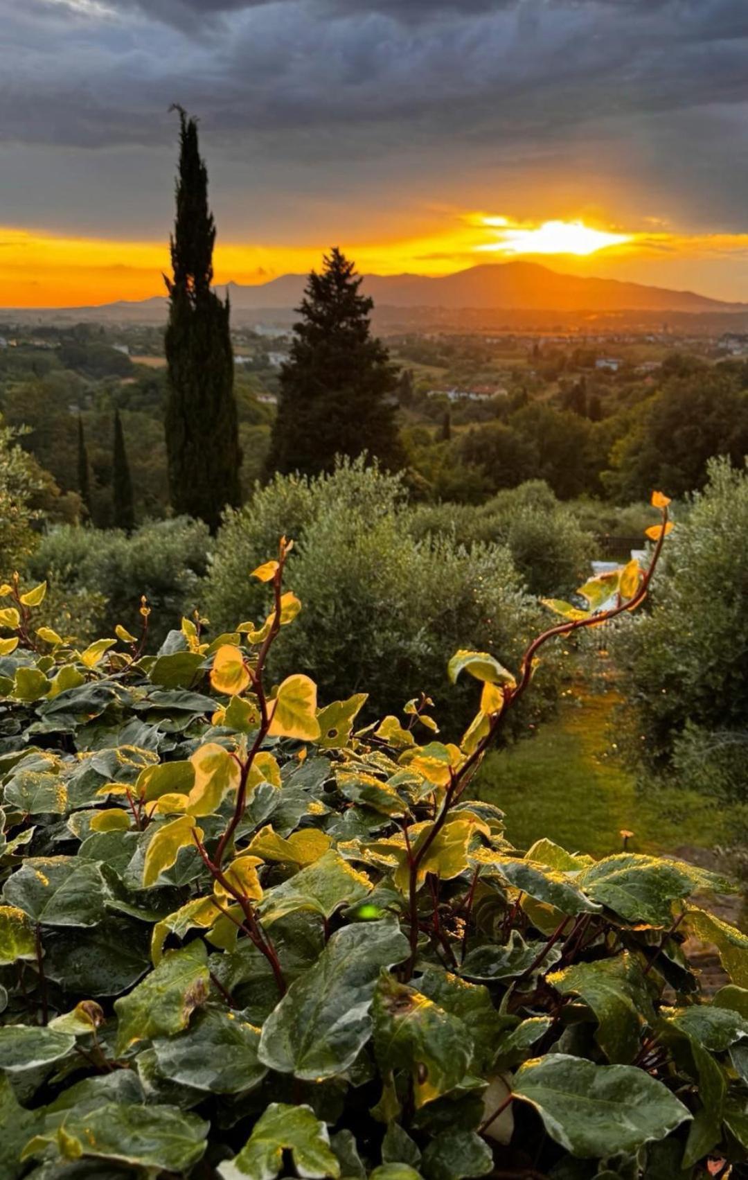 Agriturismo Cascina Cipressa San Romano  Zewnętrze zdjęcie