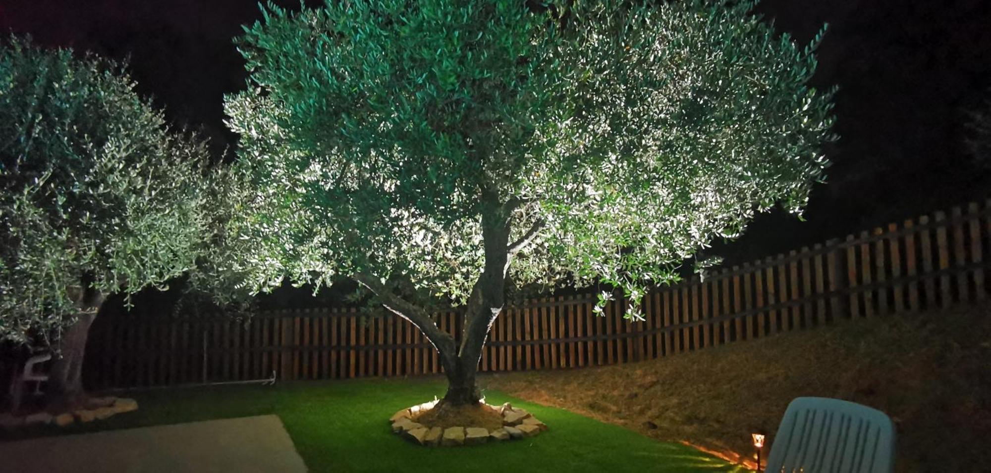Agriturismo Cascina Cipressa San Romano  Zewnętrze zdjęcie