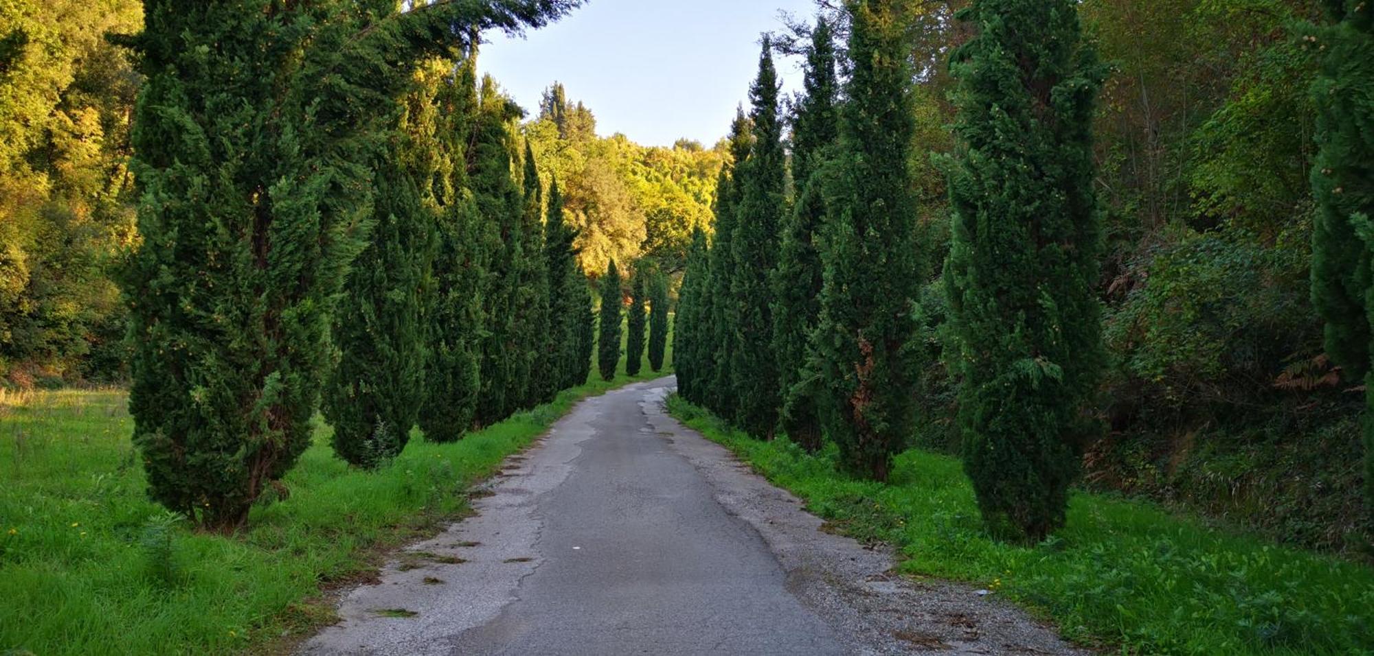 Agriturismo Cascina Cipressa San Romano  Zewnętrze zdjęcie